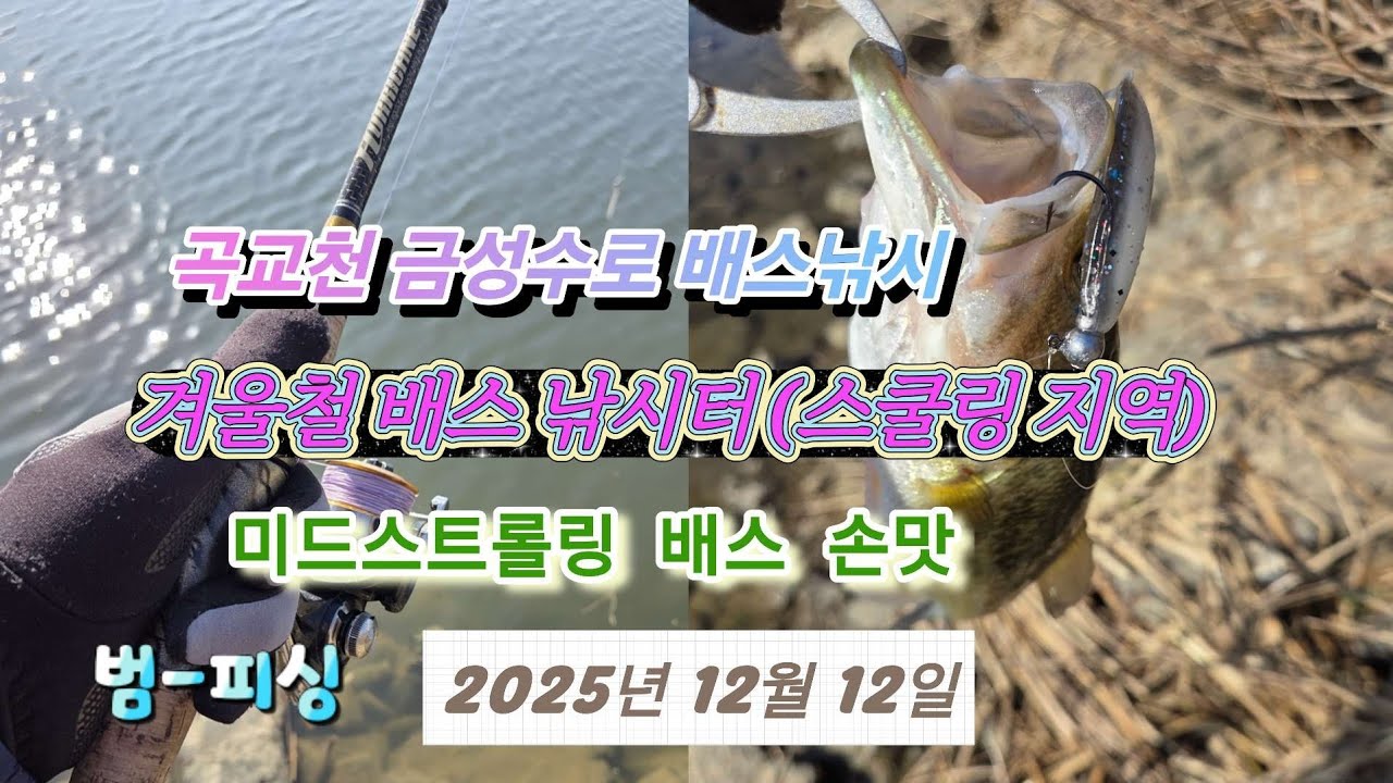 곡교천 금성수로 배스낚시 겨울  스쿨링 포인트 미드스트롤링 배스 손맛~