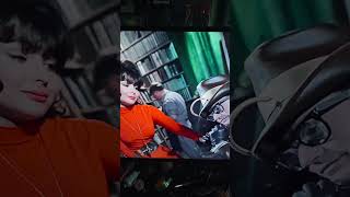 Tribute To The Bookworm