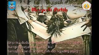 story wa pencak silat merpati putih