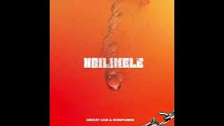 Download lagu Ngilimele