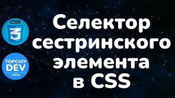 Селектор сестринского элемента в CSS || Sibling selector in CSS || Курс CSS || Full CSS course