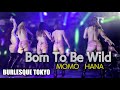 バーレスク東京スパーク　 Born To Be Wild ≪もも・はな・ともみ≫ 最前列 【4K】 Burlesque Tokyo Spark #さくらもも