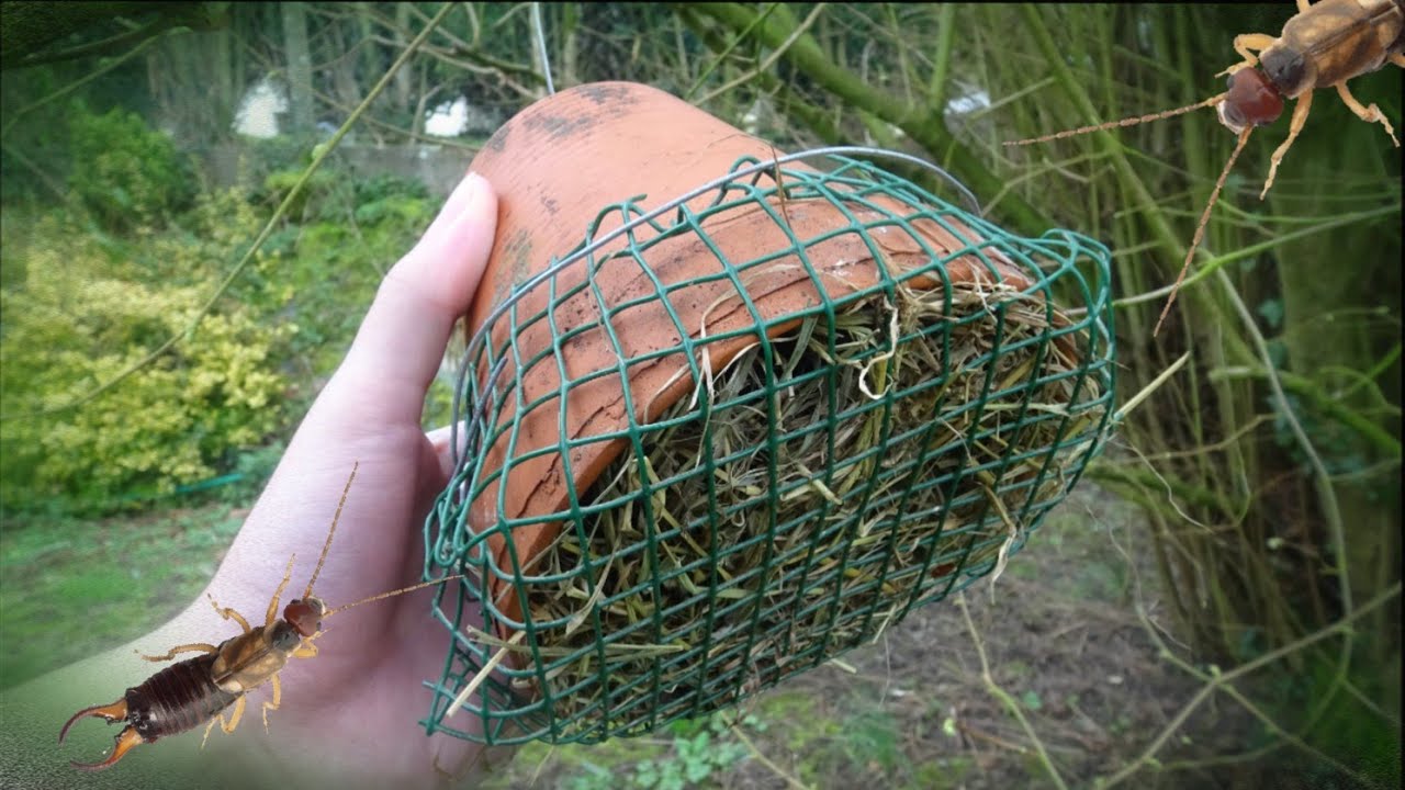 TUTO CRÉER UN ABRI À PERCE