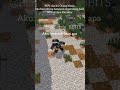 Russia dance #memes #funny #dance #minecraft #animation #trending #shorts #jedagjedug #video #mc