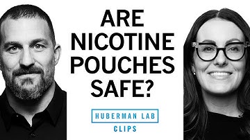How Nicotine Pouches Affect Oral Health | Dr. Staci Whitman & Dr. Andrew Huberman