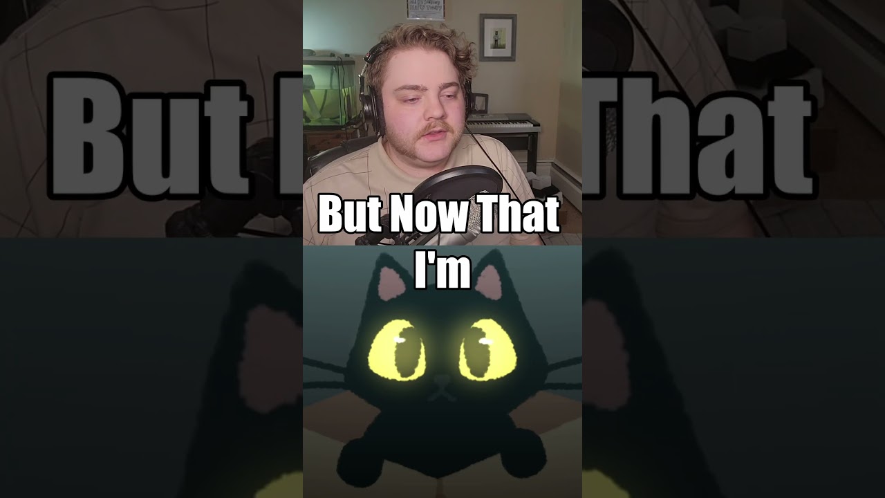 CATS VS DOGS!?