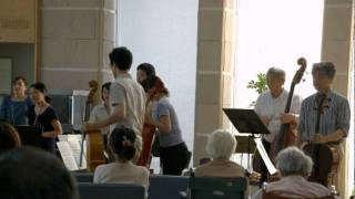 Bartok Roumanian Dance Mov.4