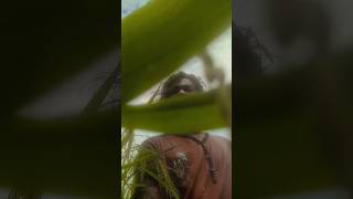 Mujhko Hui Na Khabar Chori Chori Chup Chup Kar