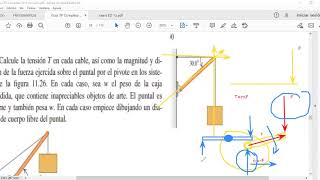 EJERCICIOS DE UNIDAD 11 - EQUILIBRIO Y ELASTICIDAD