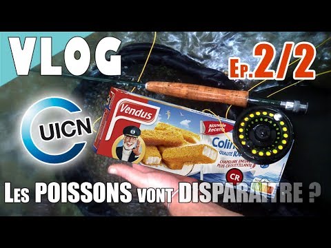 Vidéo: Articles d'urgence à garder pour les poissons d'eau douce