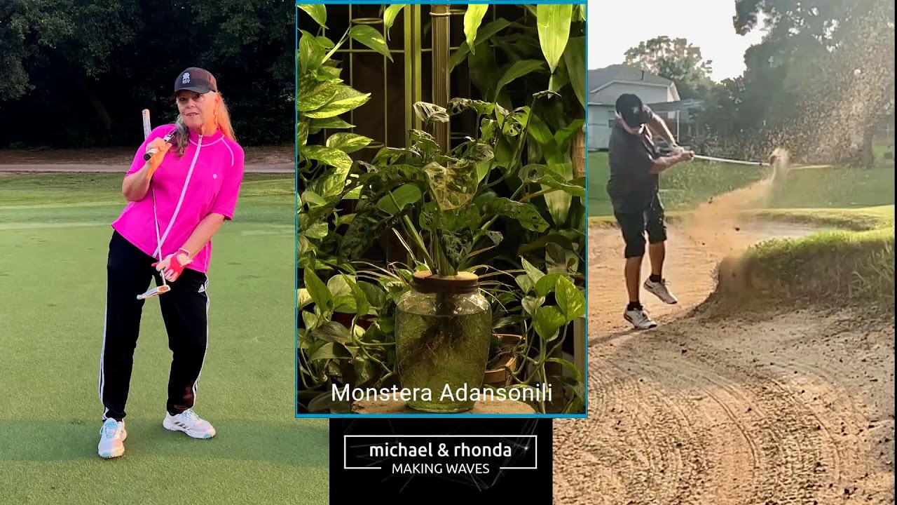 NCG | We Need Some Help/Advise. One Of Our Plants Is Struggling.