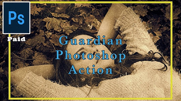 Guardian Photoshop Action . Alone Business Channel