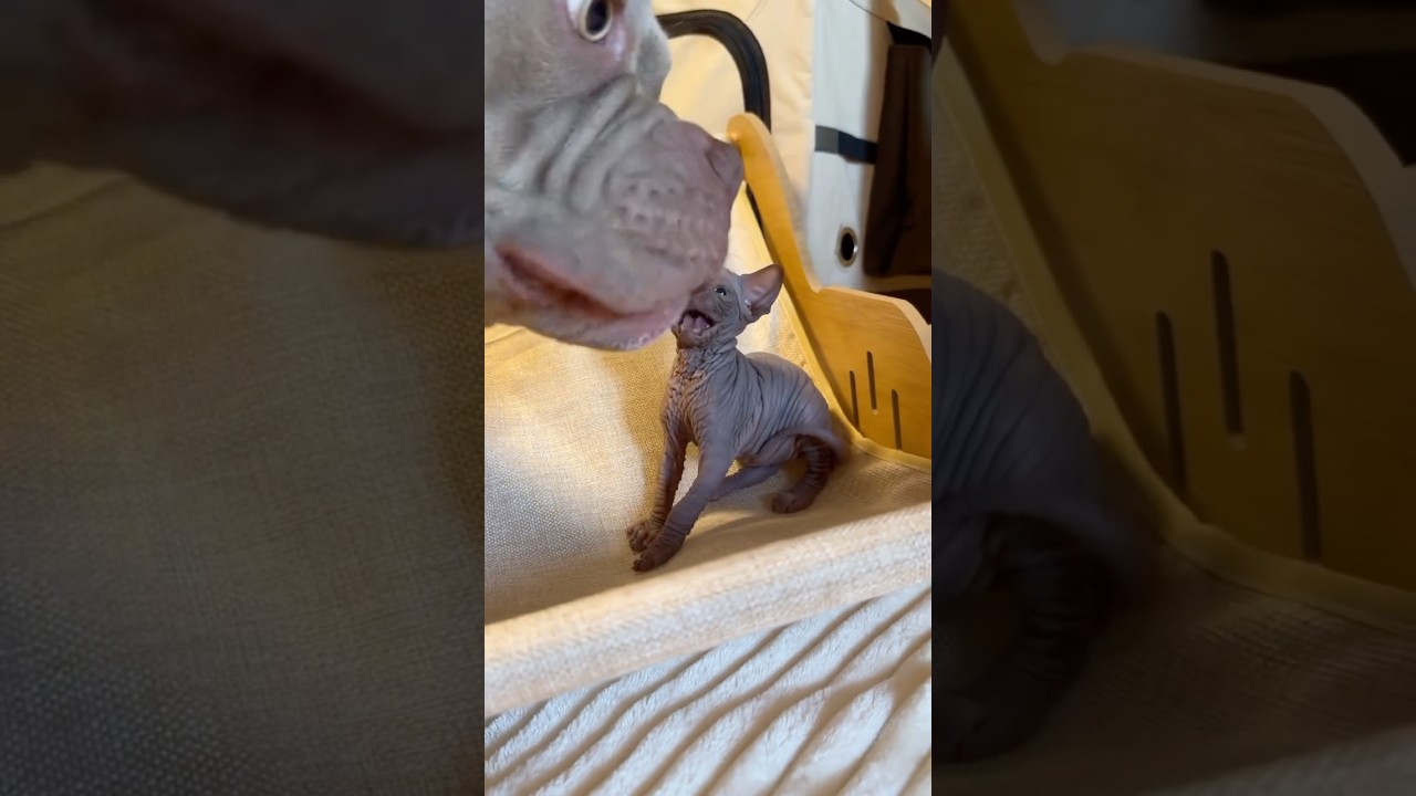 there was a coup⚡️💕 