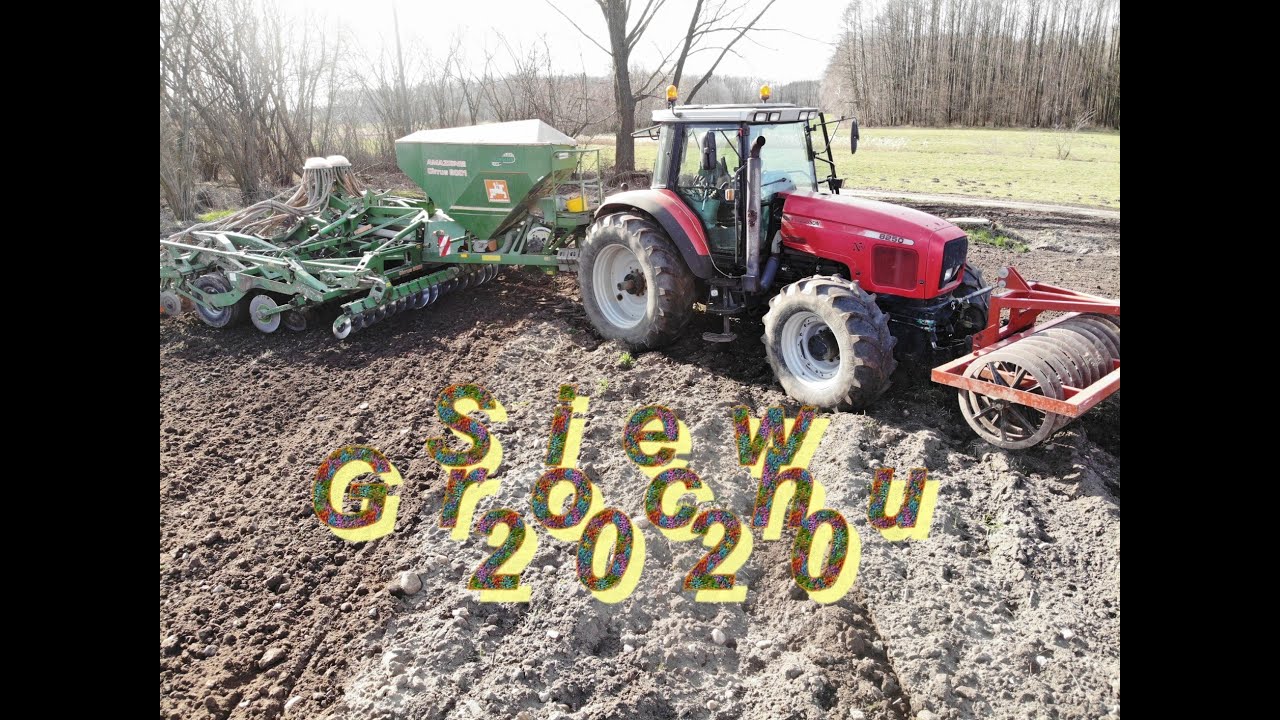 Siew grochu 2020 Amazone Cirrus 6001 Jakość !
