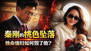 秦刚的桃色坠落：从副国级外长到书店白发老人，致命情妇如何毁了他？