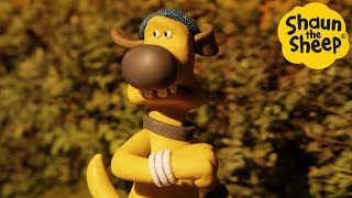 La Oveja Shaun - Episodios completos - Dibujos animados para niños - ¡Animales de granja! Preescolar