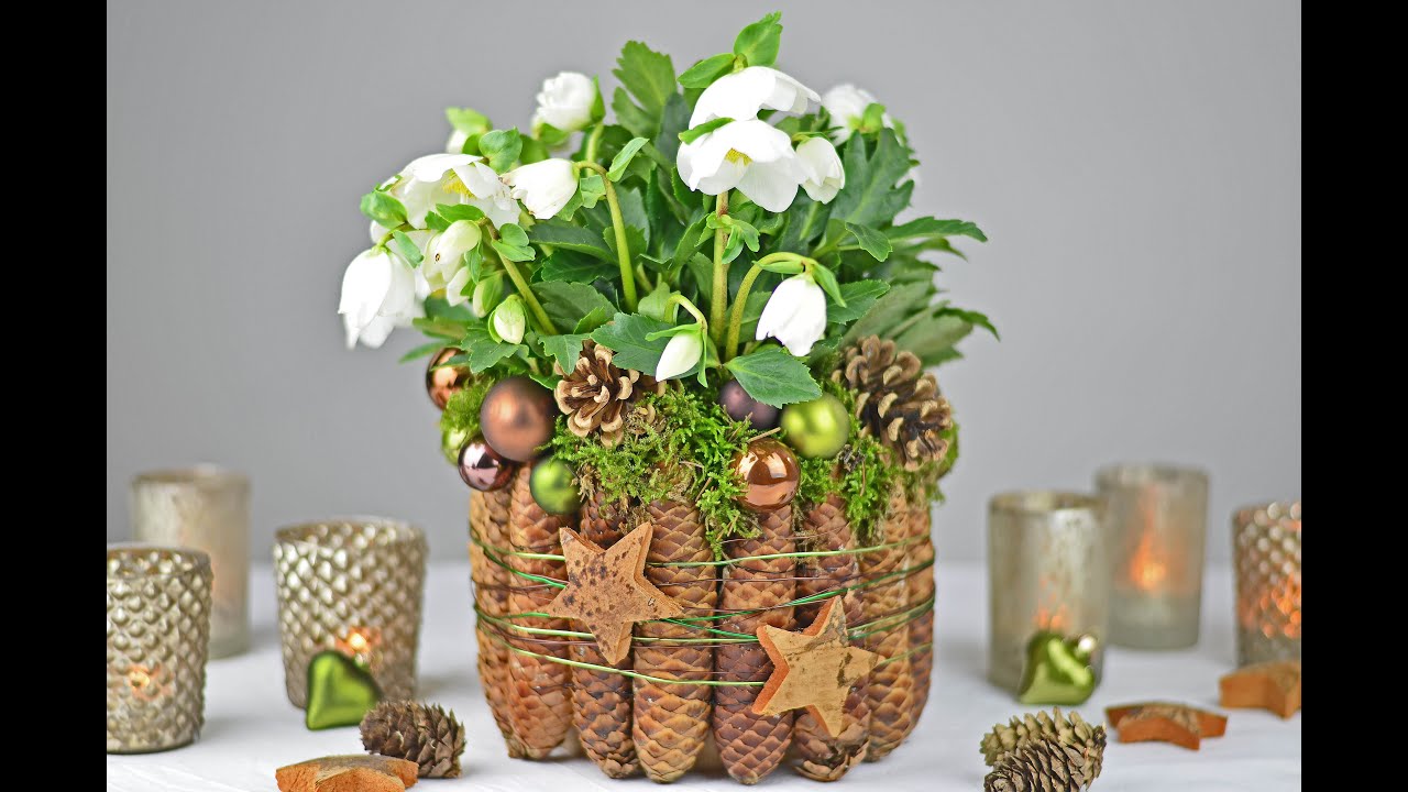 Diy christrose dekorieren mit fichtenzapfen, moos i tischdeko ...