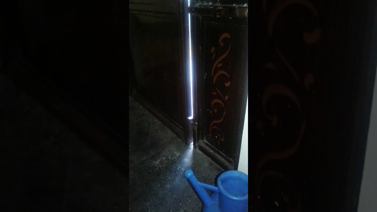 ‫القطة الذكية‬‎ 