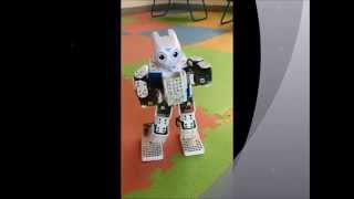 DARWIN MINI Dancing Gangnam Style