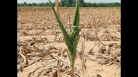 As IPCC Warns of Climate Disaster, Will Scientific Consensus Spark Action on Global Warming?