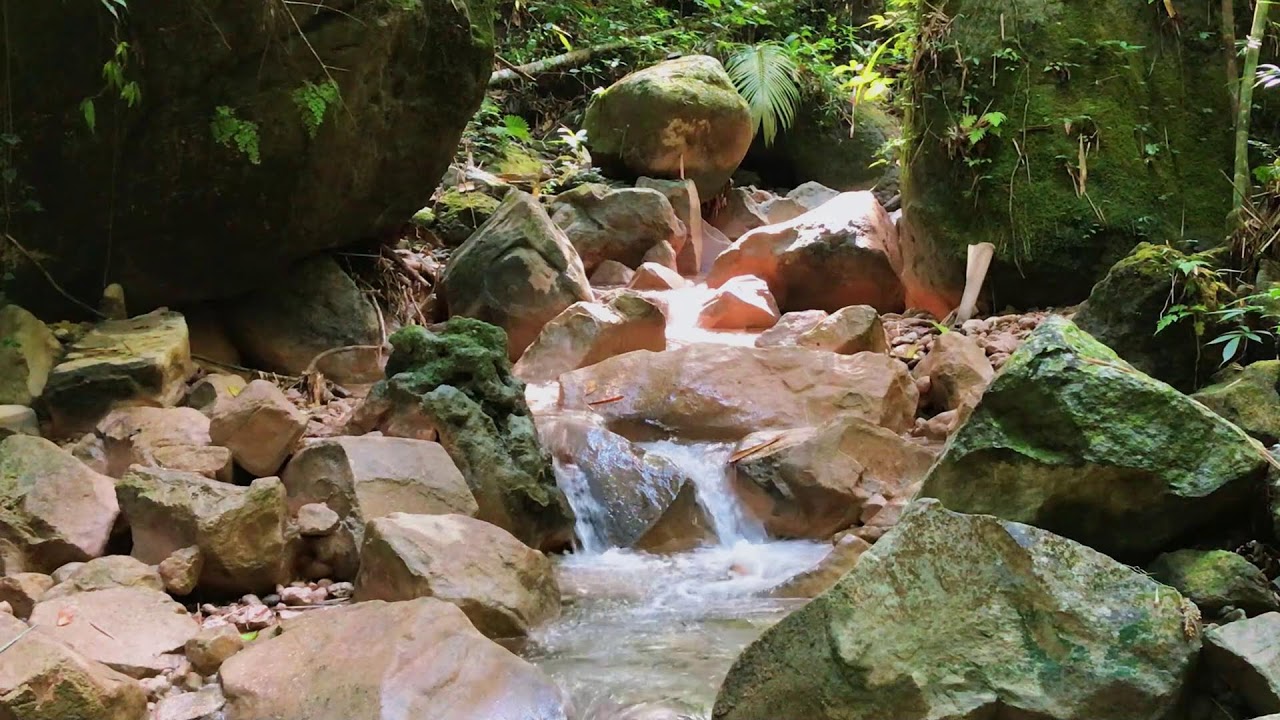 Jungle River Flow for Insomnia Relief, Focus