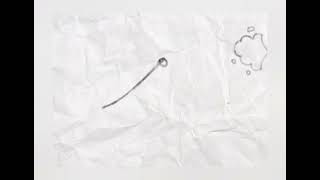 just a pendulum animation to train movement ^-^