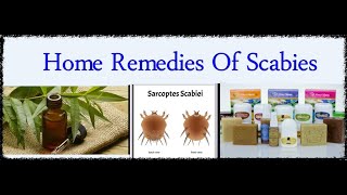 Home Remedies For Scabies..العلاجات المنزلية للجرب