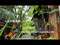 【古民家暮らしのvlog 】人生の転換期/これからの暮らし方/今ある物を使い切る