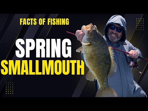 Spring Smallmouth Are Absolutely SAVAGE! EP 1605 Dave Mercer's Facts of Fishing