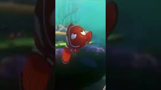 NEMO TOUCHES THE BUTT! #findingnemo