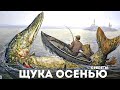 Секреты ловли щуки осенью!!! Ловля щуки на спиннинг редкие советы бывалым и начинающим!