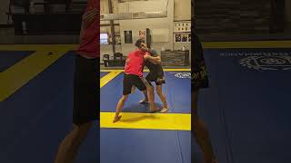 Ground &amp; Pound 😎 #mma #ufc #wrestling #jiujitsu #bjj #shorts