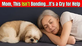 When Your Dog Sleeps With You - This Is What It Really Means