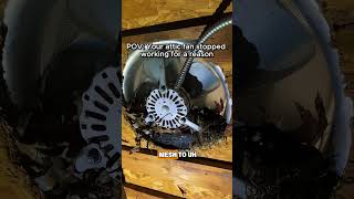 POV: Your Attic Fan Stopped Working for a Reason | Rock Pest Control #shorts