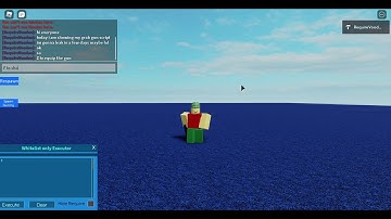 SS Script Showcase: Grab Gun