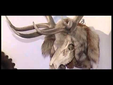 Программа “Растительная жизнь“