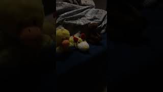 Five Nights At Gingers House Trailer
