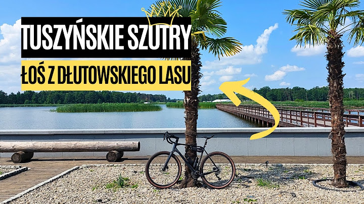 Tuszyńskie Szutry i makieta samolotu Łoś z Dłutowskiego Lasu | Gravel