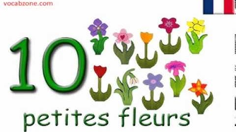 Learn French numbers song - Une Chanson des Chiffres