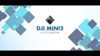 DJI MINI2 00Unboxing(開封の儀)