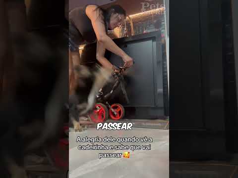 Muito fofinho😂❤️🐶