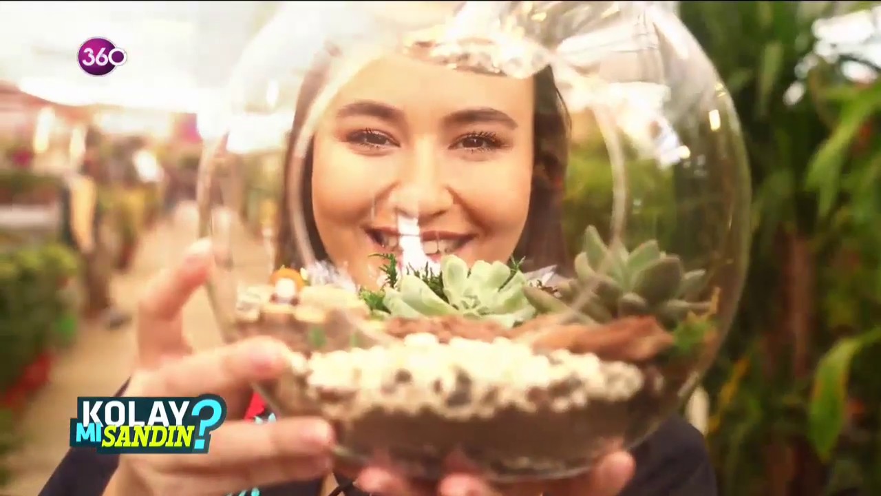 Kolay Mı Sandın? - Teraryum Yapımı 30 01 2019