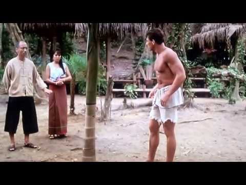 Kickboxer ( Van Damme ) Kick the tree