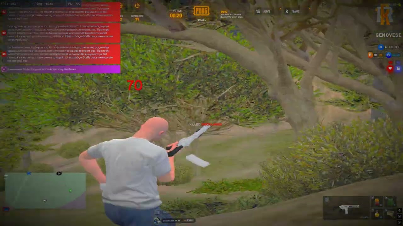 Loader.exe (Reverse)