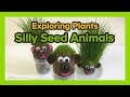 Exploring Plants: Silly Seed Animals by ABCmouse.com