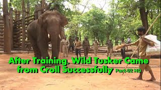 AfterTraining Wild Tusker Lead independent Life. Brief by I.M Nagaraj,DFO wildLife,Shimoga Division