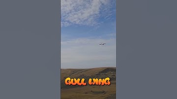 The Gull Wing Glider