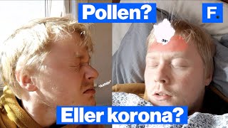 Forskjellen på pollenallergi- og koronasymptomer på (drøyt) ett minutt
