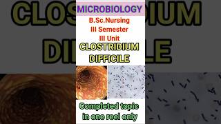 Clostridium Difficile introduction characteristics morphology pathogenesis clinical manifestations.