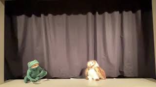 Puppet Show: Wide-Mouthed Frog